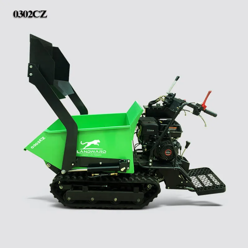 0302CZ